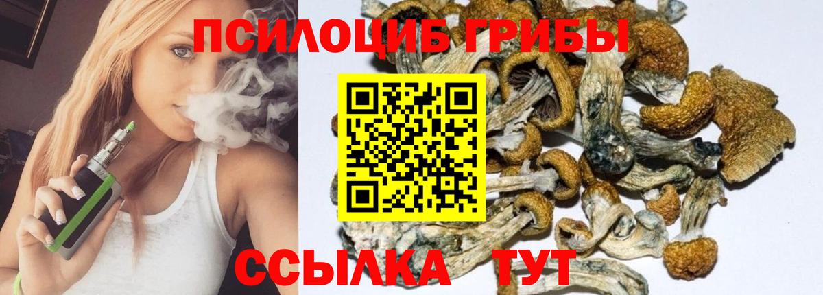 купить наркоту  Галлюциногенные грибы Magic Shrooms  Вход с VPN  Галлюциногенные грибы Cubensis  Саянск 